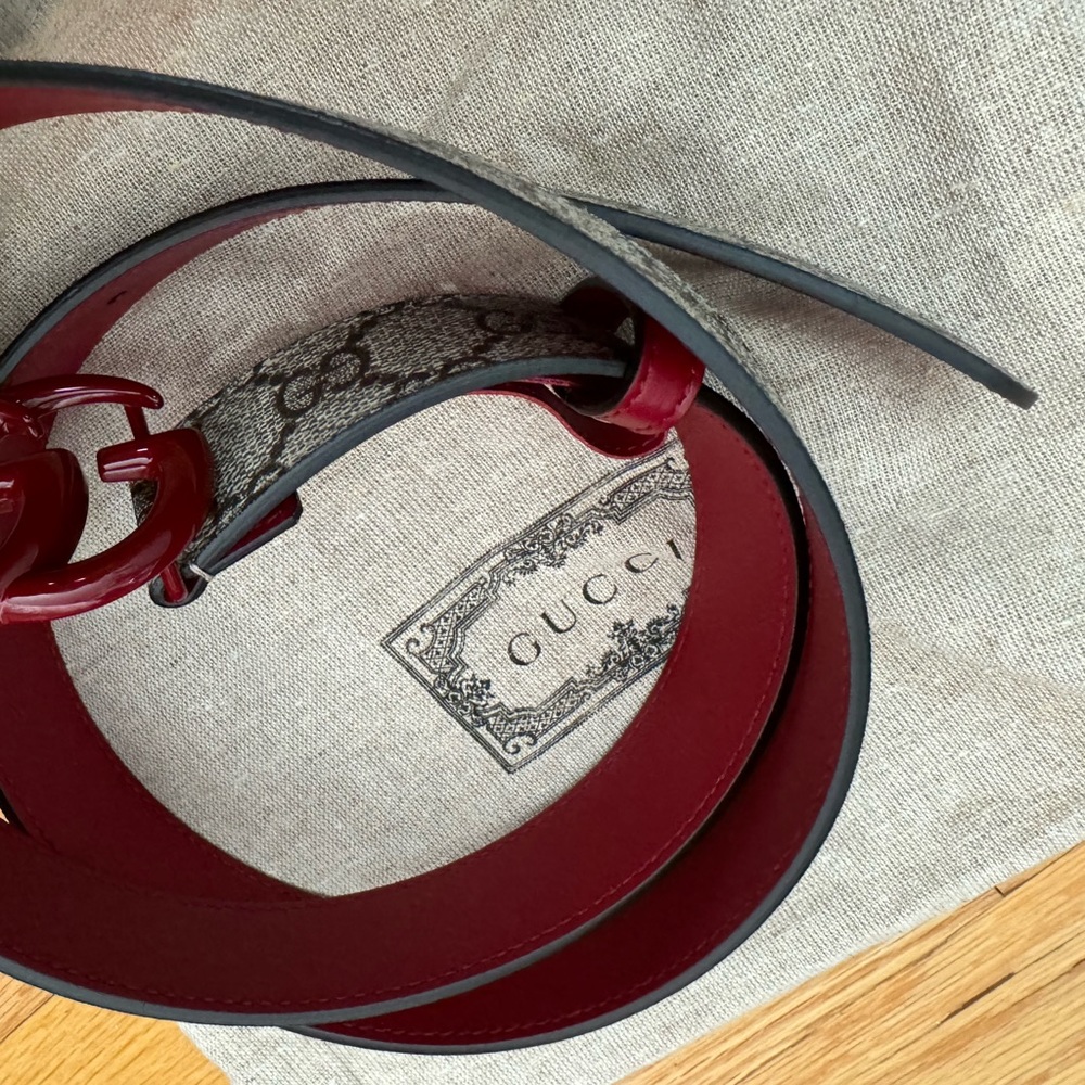 Gucci belt